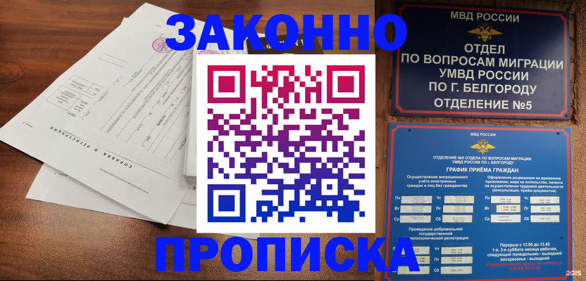 прописка в Курчатове
